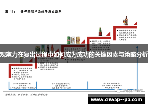 观察力在复出过程中如何成为成功的关键因素与策略分析 观察力在复出过程中如何成为成功的关键因素与策略分析