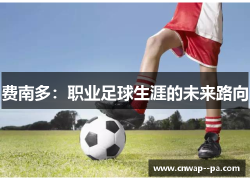 费南多：职业足球生涯的未来路向