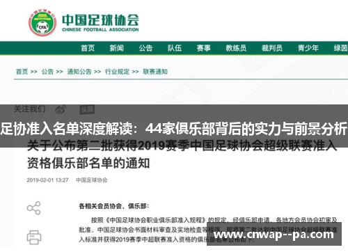 足协准入名单深度解读：44家俱乐部背后的实力与前景分析