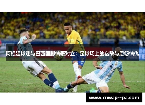 阿根廷球迷与巴西国脚情感对立：足球场上的宿敌与恩怨情仇