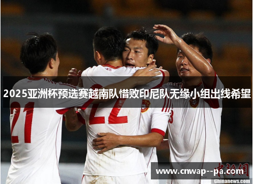 2025亚洲杯预选赛越南队惜败印尼队无缘小组出线希望 2025亚洲杯预选赛越南队惜败印尼队无缘小组出线希望